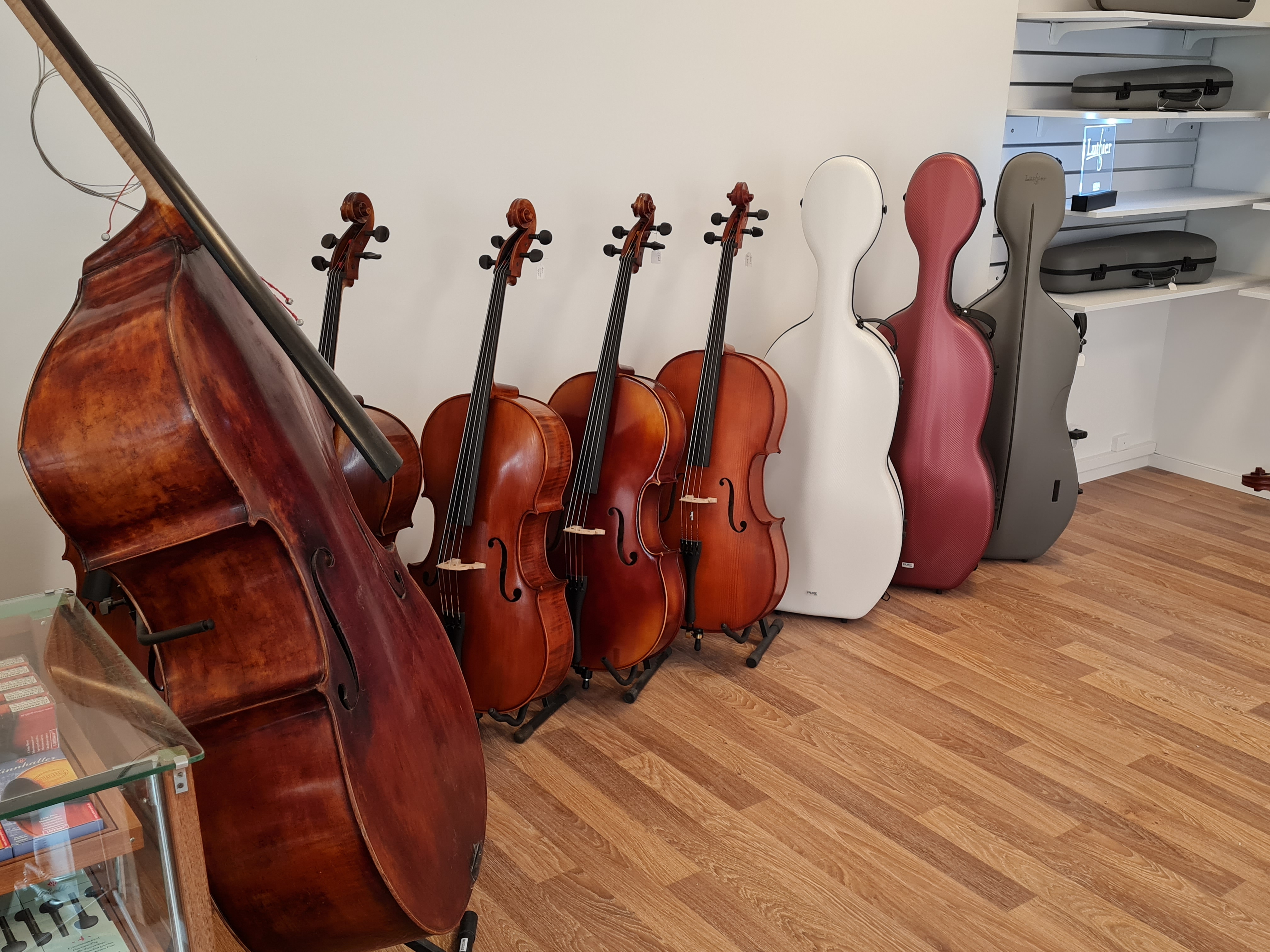 stråkinstrument på rad i butiken
